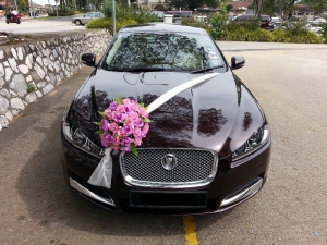 wedding limo rental in Toronto